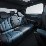 BYD Dolphin bags