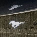 Ford Mustang pony