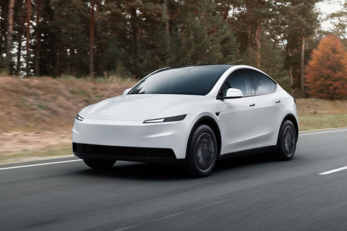 Tesla Model Y Standard fart
