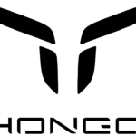 Hongqi-Logo-2024